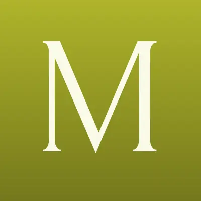 Масила, компания по оформлению воздушными шарами, лого-визитка
