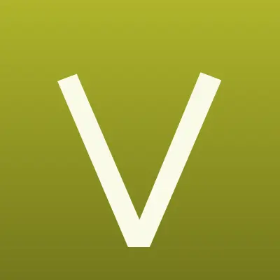 ViEiR, лого-визитка